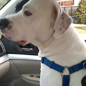 Meet your Posher, Cristina